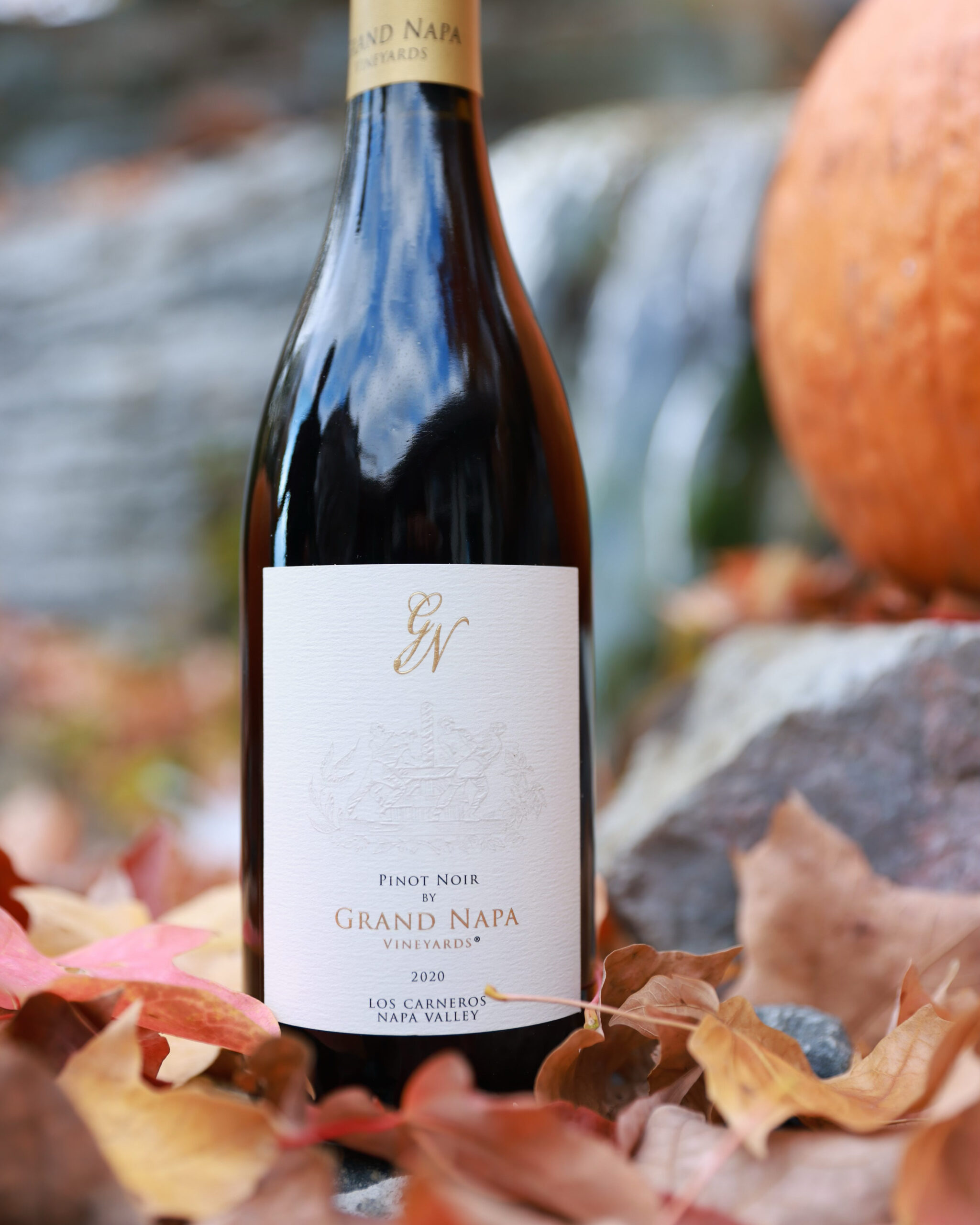 Pinot Noir in the Fall time